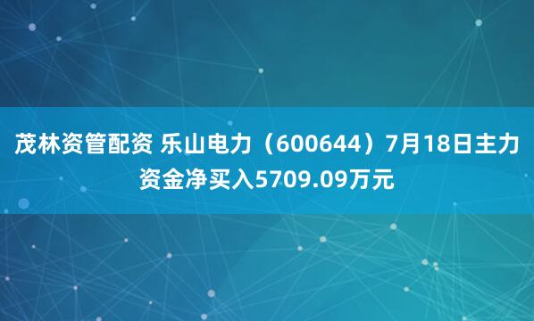 茂林资管配资 乐山电力（600644）7月18日主力资金净买入5709.09万元