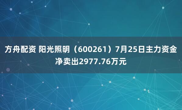 方舟配资 阳光照明（600261）7月25日主力资金净卖出2977.76万元