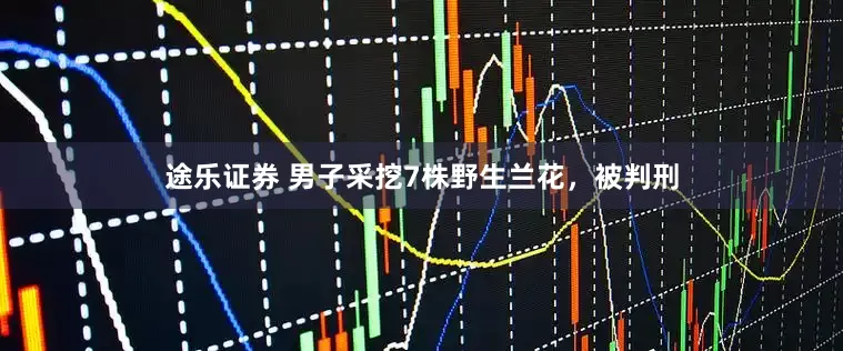 途乐证券 男子采挖7株野生兰花，被判刑