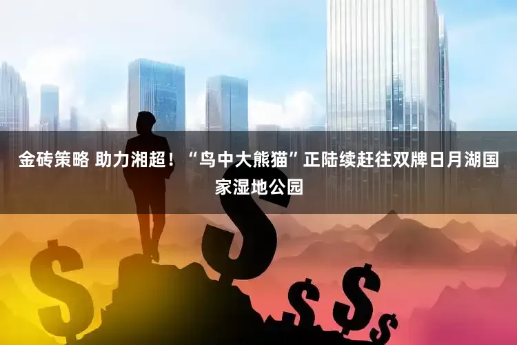 金砖策略 助力湘超！“鸟中大熊猫”正陆续赶往双牌日月湖国家湿地公园
