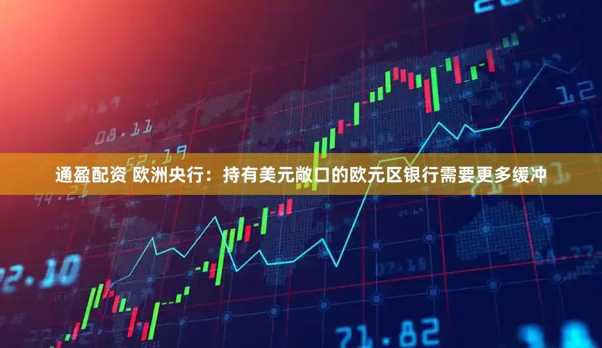 通盈配资 欧洲央行：持有美元敞口的欧元区银行需要更多缓冲