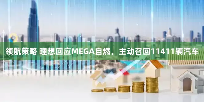 领航策略 理想回应MEGA自燃，主动召回11411辆汽车